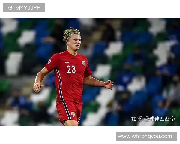 属马的足球球星盘点与他们的职业生涯成就分析